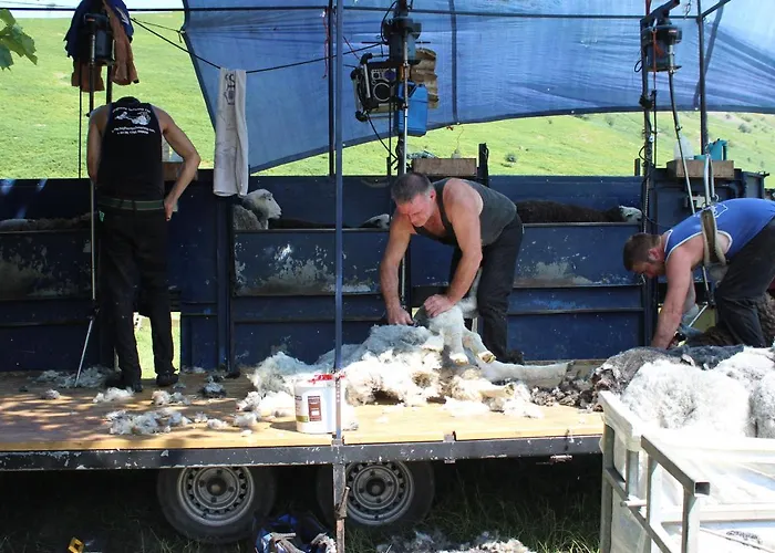 The Old Lejlighed Holmrook